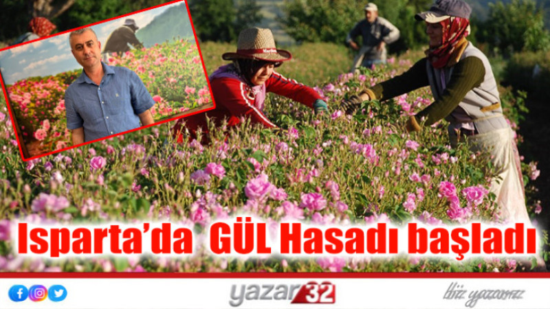 Isparta’da  GÜL Hasadı başladı  